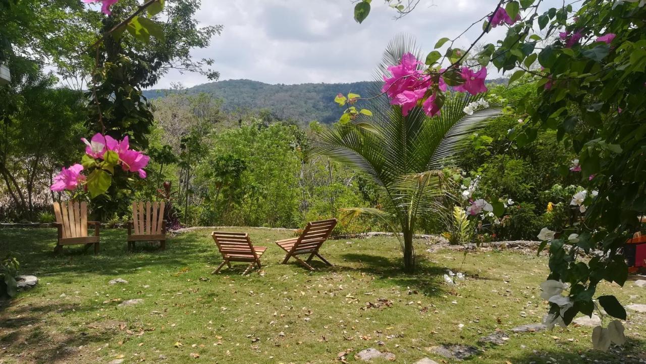 Alice Guesthouse El Remate Εξωτερικό φωτογραφία