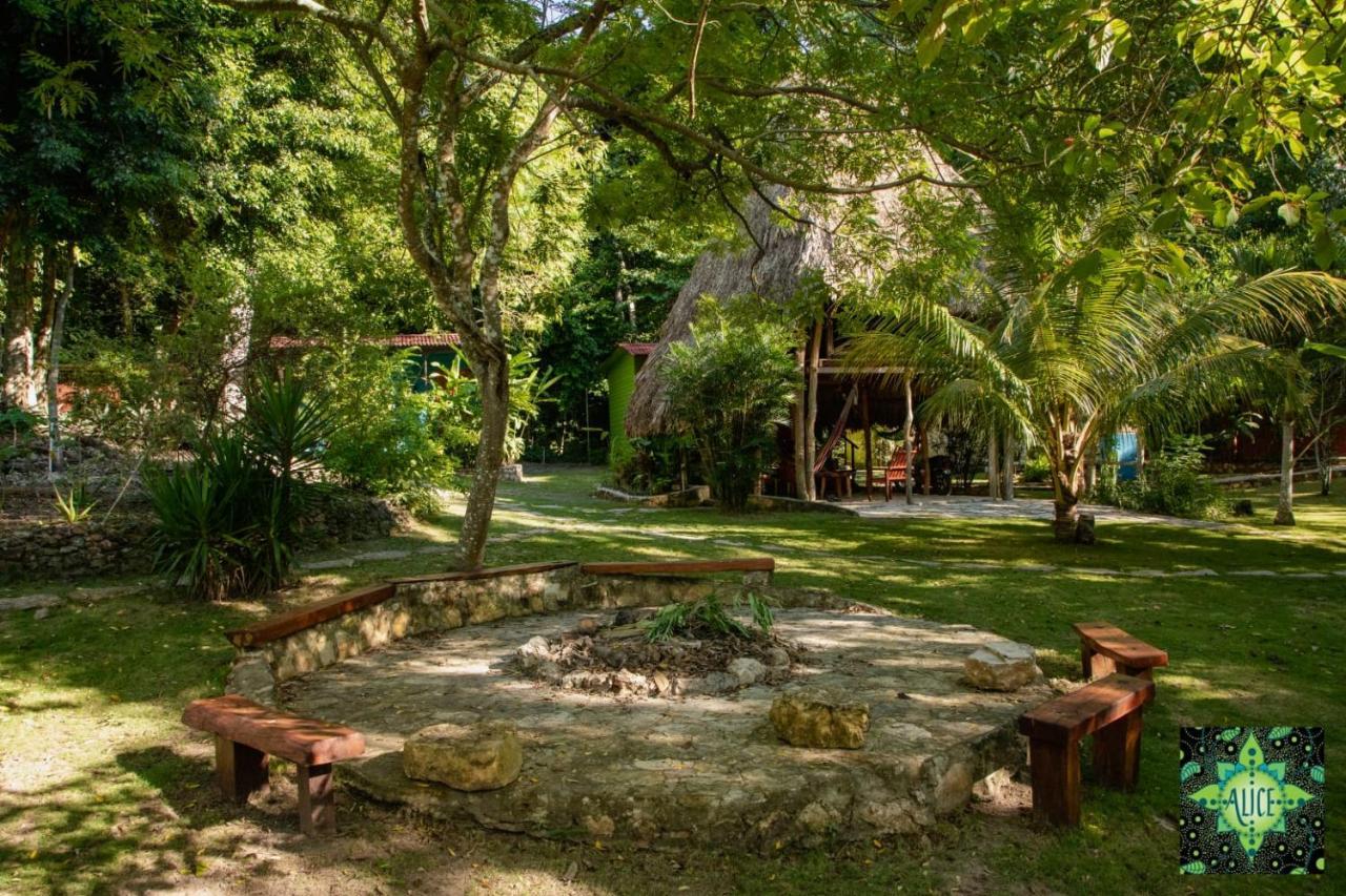Alice Guesthouse El Remate Εξωτερικό φωτογραφία