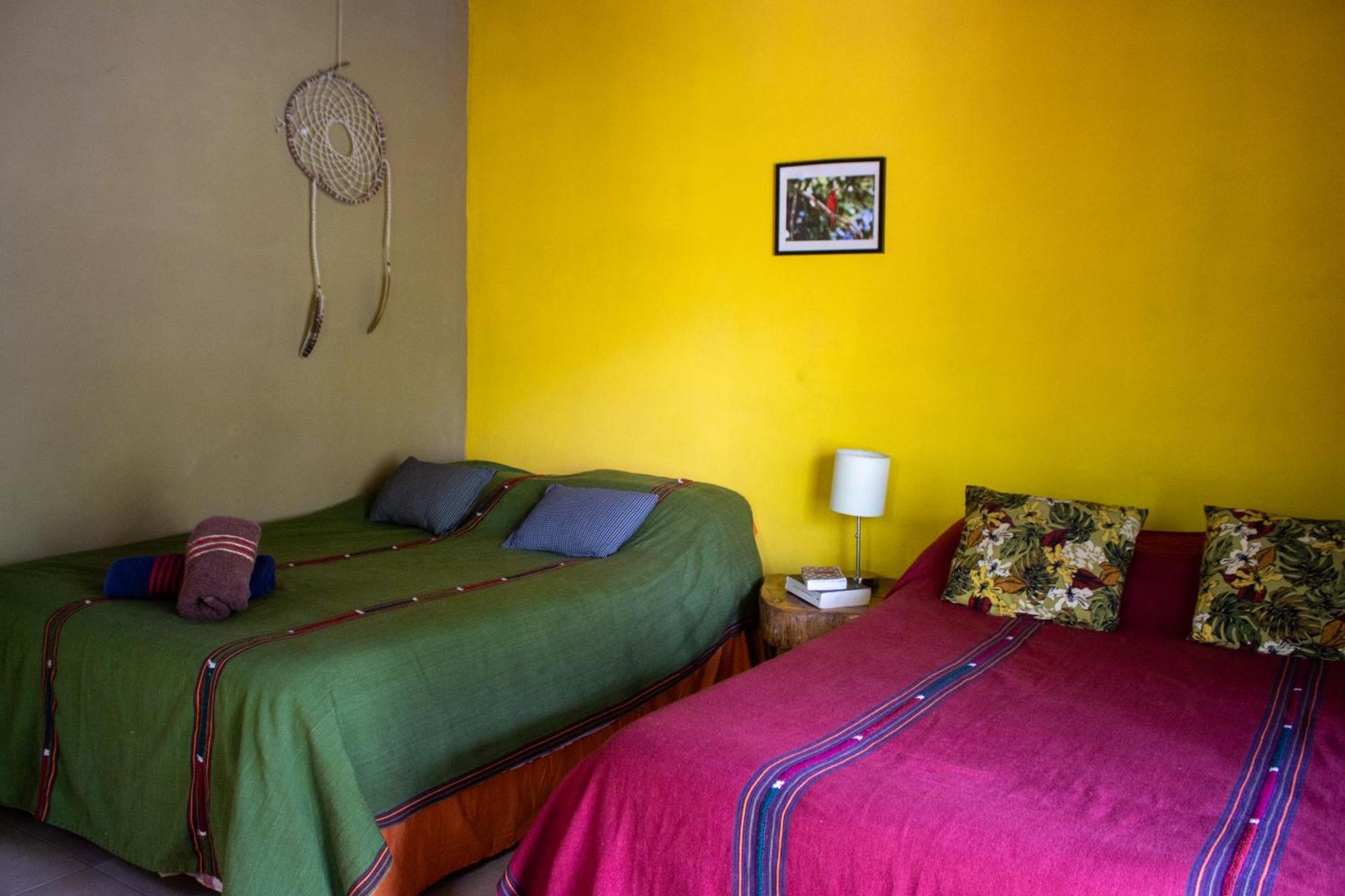 Alice Guesthouse El Remate Εξωτερικό φωτογραφία